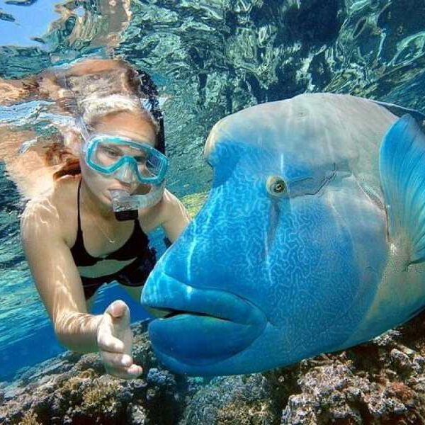 Egypt Charming Tours