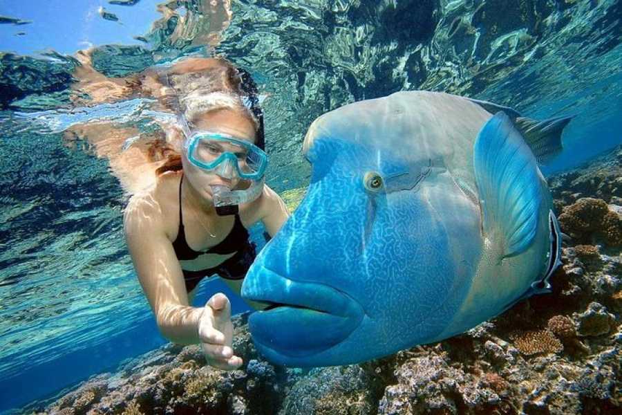 Egypt Charming Tours