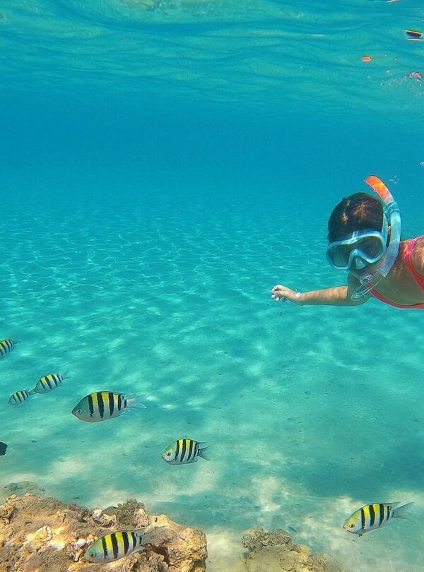egypt charming tours