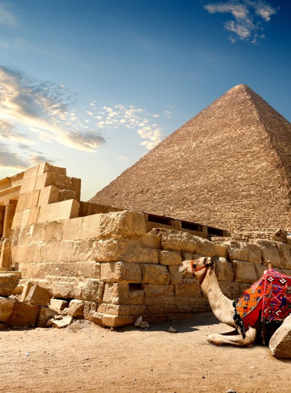 Egypt Charming Tours