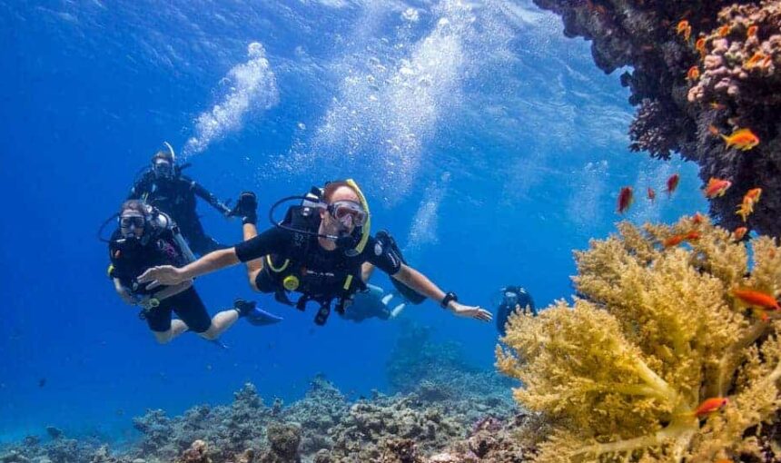 Scuba Diving in Hurghada – Explore Red Sea Wonders