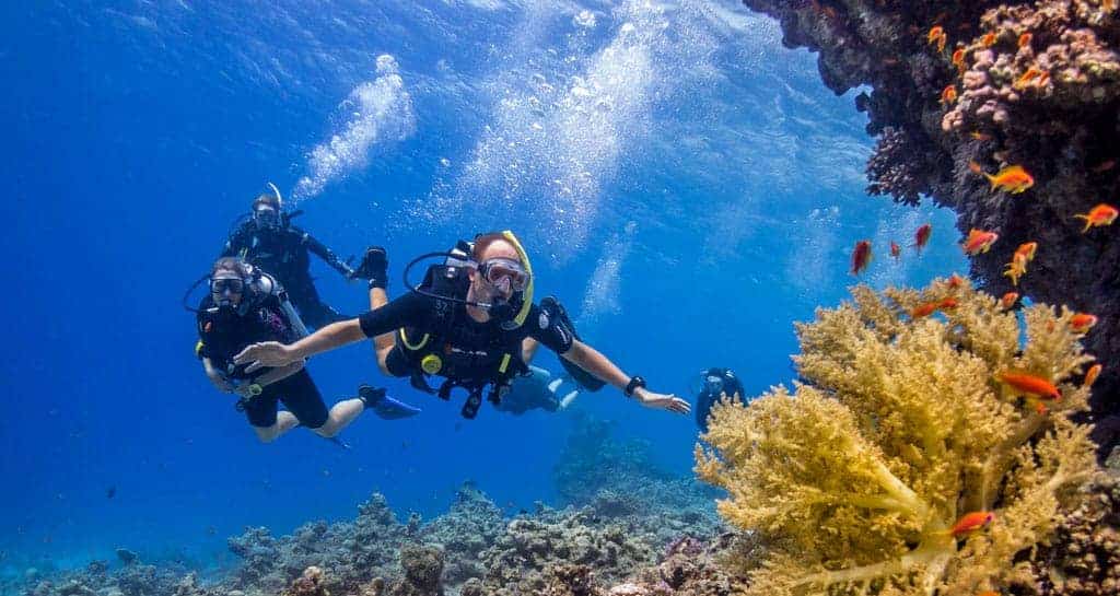 Egypt Charming Tours