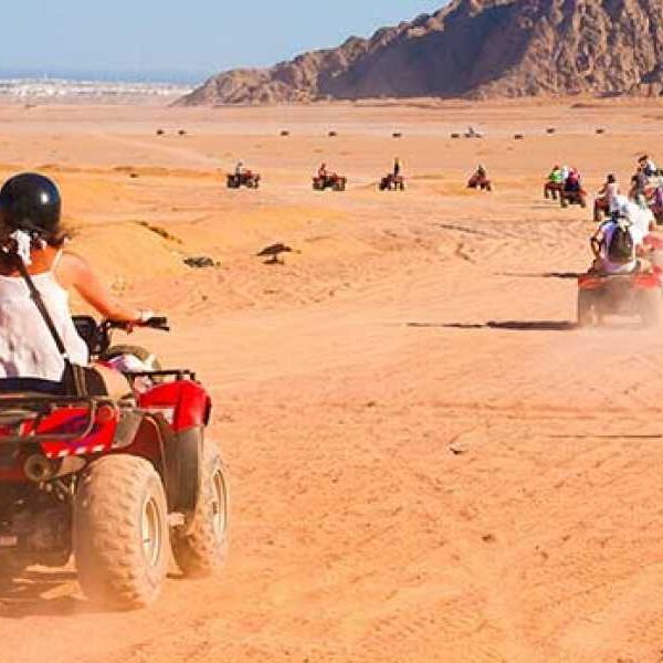 egypt charming tours