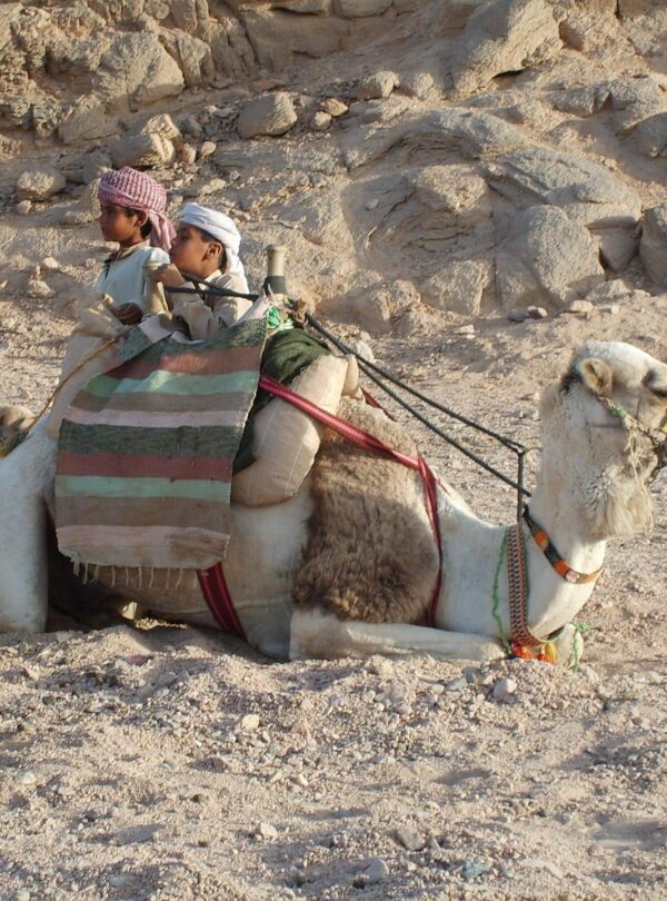 egypt charming tours