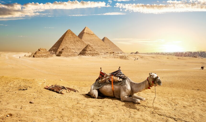 Day trip to the pyramids From Cairo