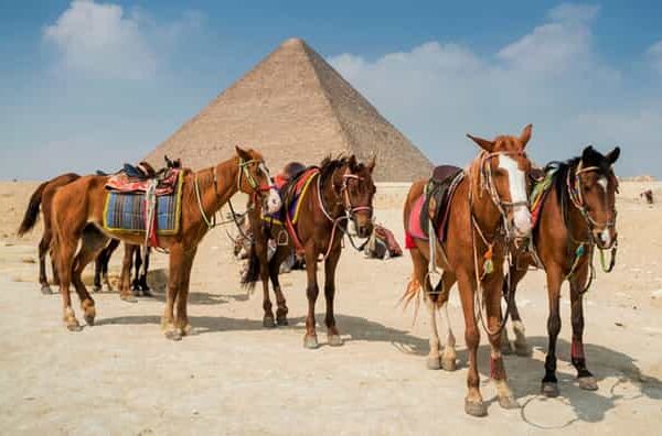 egypt charming tours
