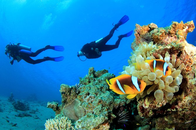 Egypt Charming Tours