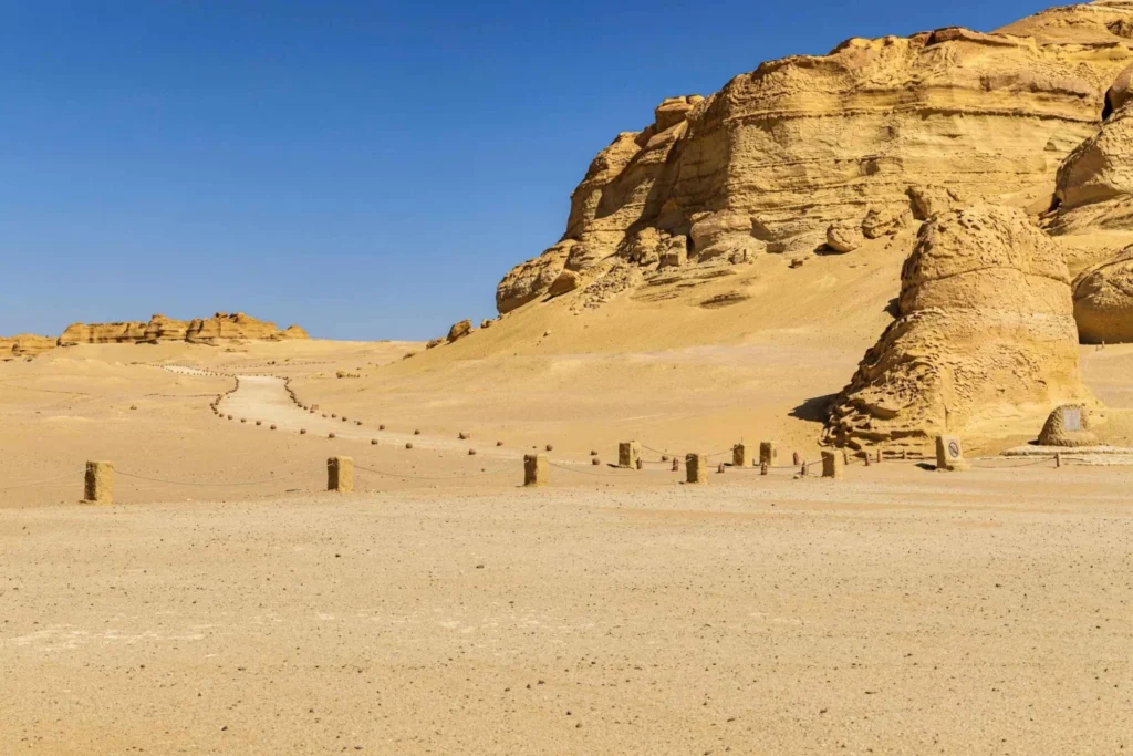 Egypt Charming Tours