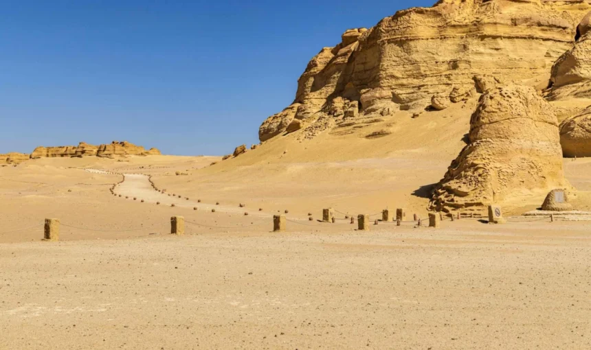 fayoum day trip from cairo