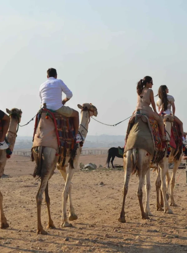 Egypt Charming Tours