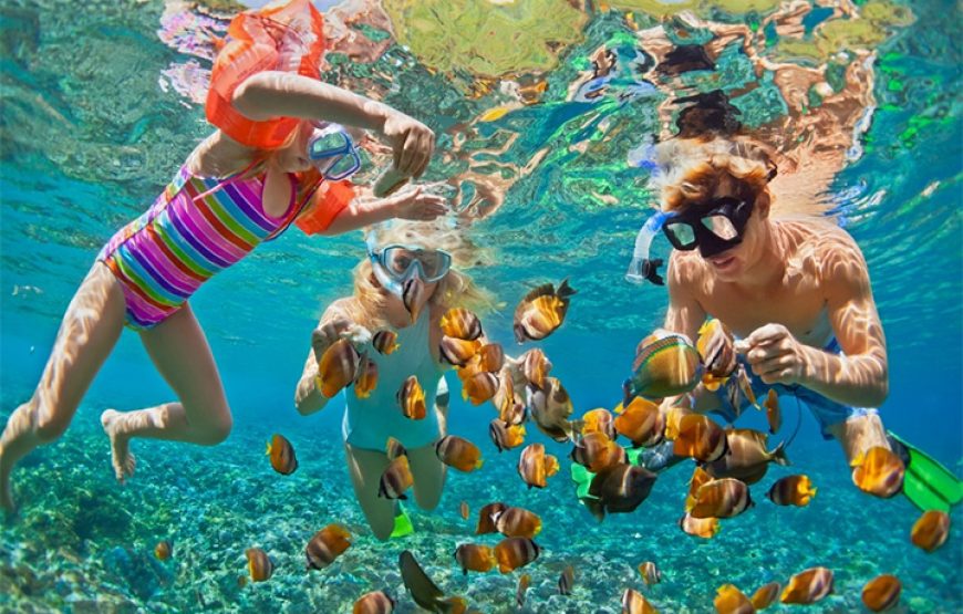 Egypt Charming Tours